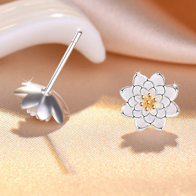 Mia ezüstös női fülbevaló